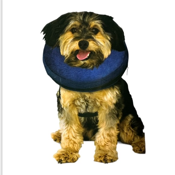 Calm Paws Protective Inflatable Collar with Calming Disk Size Small (6”- 10”) - Picture 11 of 16